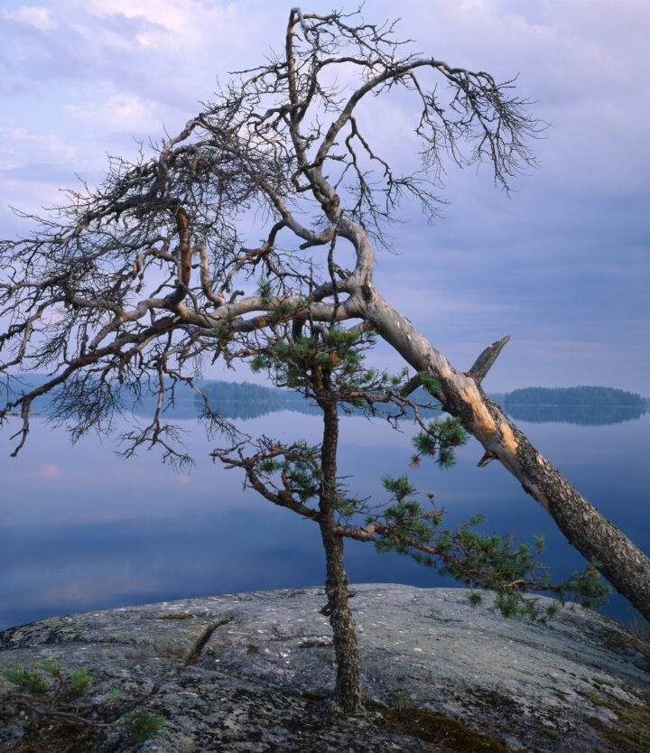 Saimaa Geopark kertoo tarinaa Saimaan synnystä nykypäivään