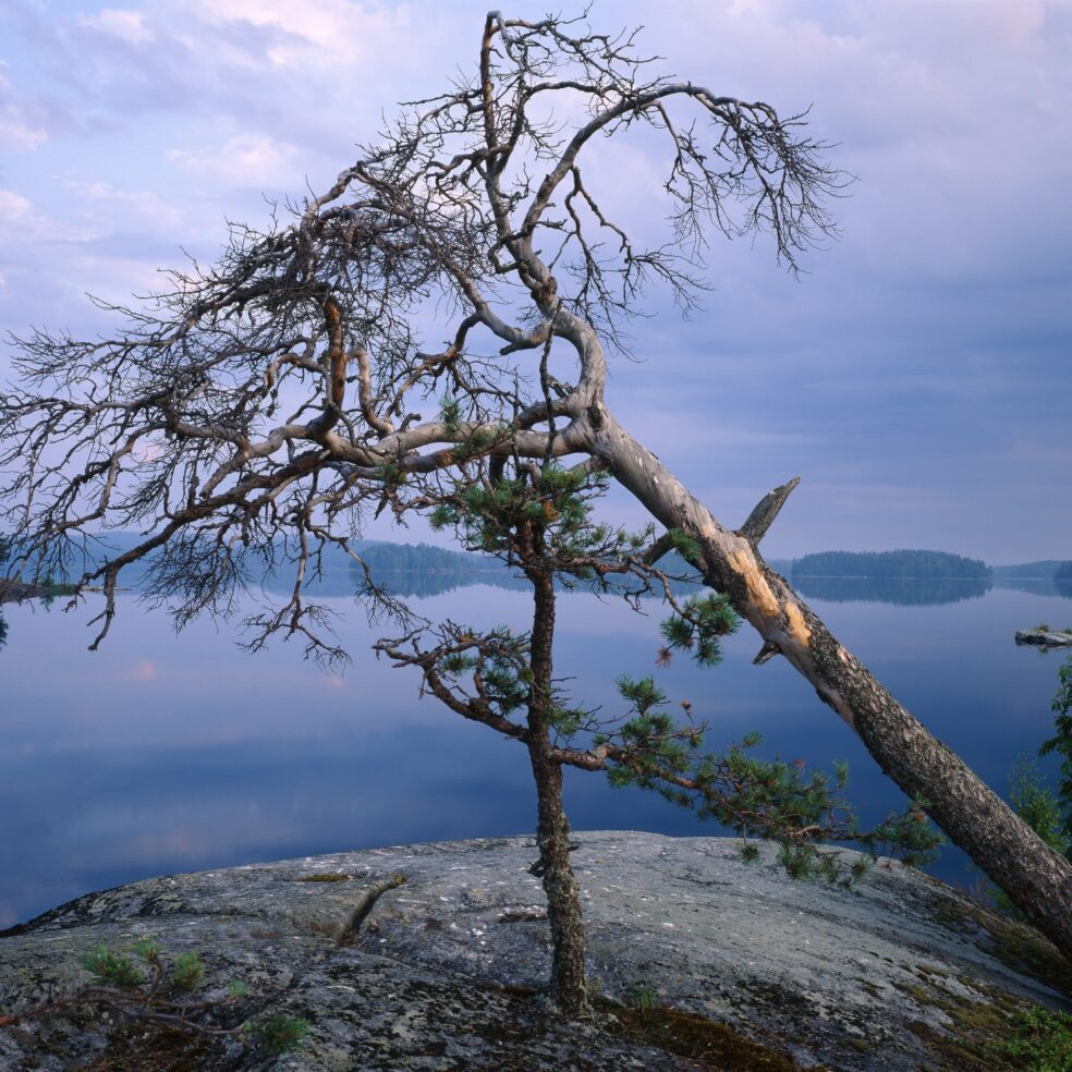 Saimaa Geopark kertoo tarinaa Saimaan synnystä nykypäivään