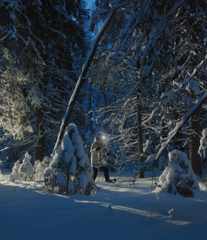 Retkeilijä Saimaan talvisessa metsässä