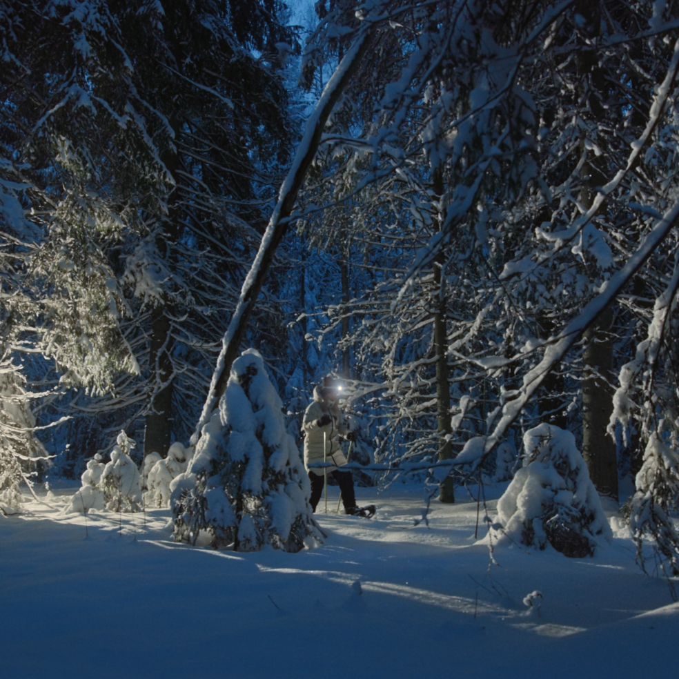 Retkeilijä Saimaan talvisessa metsässä