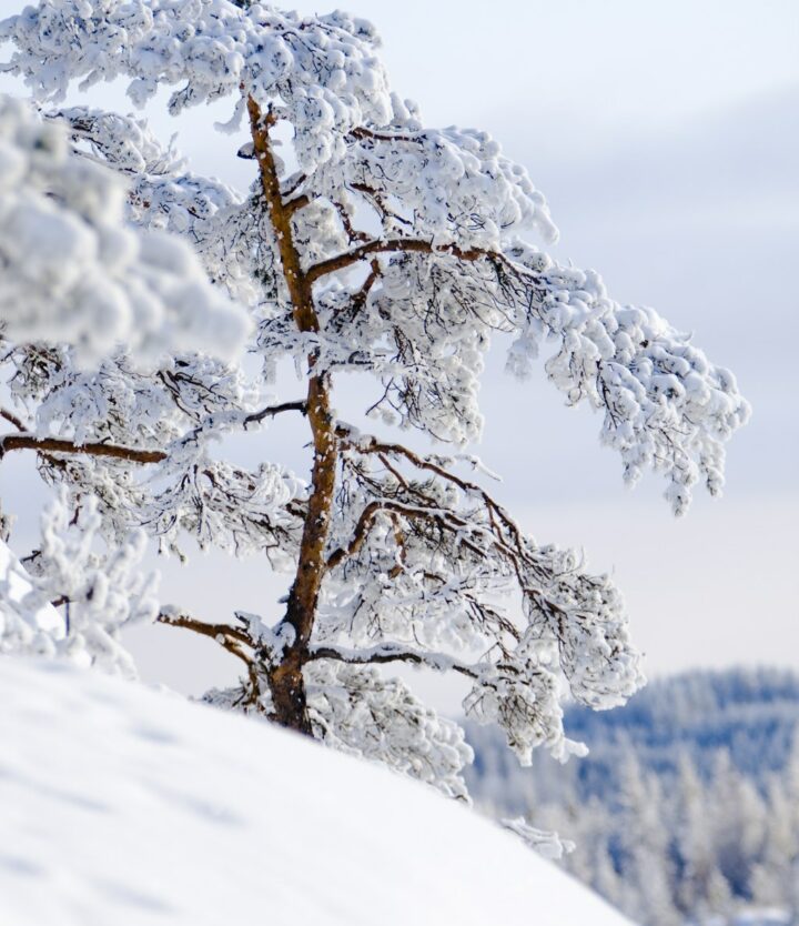 Luminen maisema talvisella Saimaalla