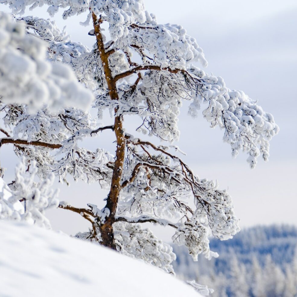 Luminen maisema talvisella Saimaalla